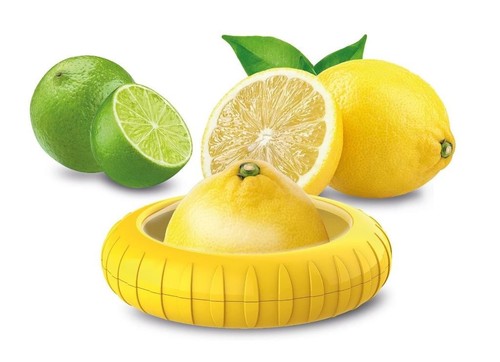 Contenitore salvalimone - contenitore,
